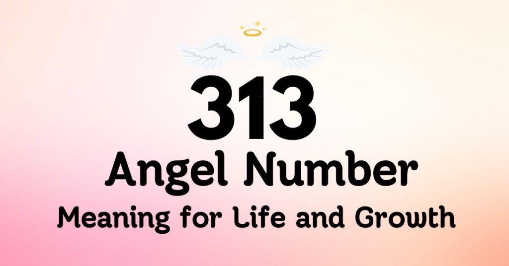 313 Angel Number Meaning for Life and Growth